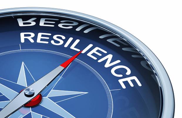 developing career resilience